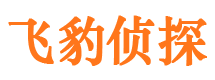 宝安市婚外情调查